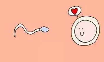 为了脱离暮年孤傲，泰国真skr如此合适养老的地区吗？