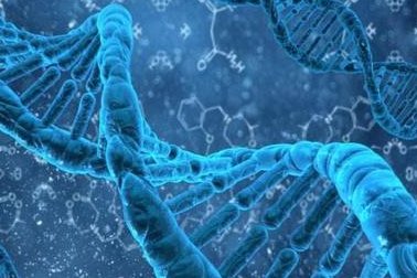 在邵东市做试管婴儿长方案周期需要多久？超长方案促排流程是怎么样的？