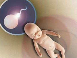 吉林地区有哪些私立的机构可以做试管技术？做试管婴儿要几个月才能完成？